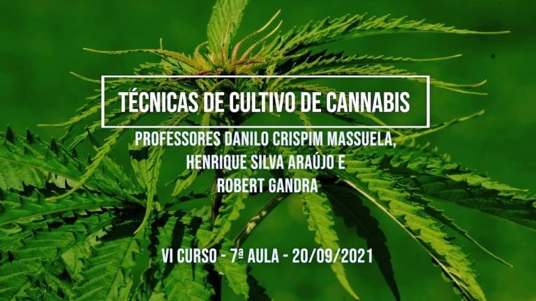 Precauções ao Consumir Vaping de Canabinoides