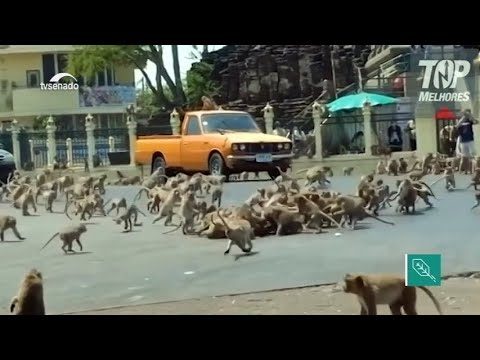 Impacto do vaping na degradação ambiental