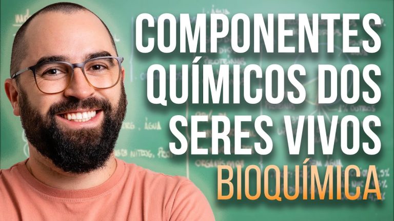 O Impacto da Composição Química no Organismo